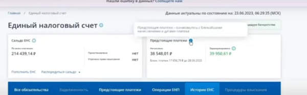 Как пополнить ЕНС в 2024 через личный кабинет ИП и ООО