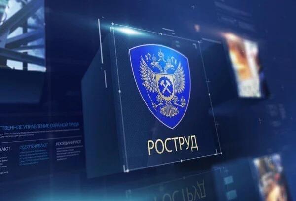 Работодатель не вправе становить срок действия справки об отсутствии судимости.