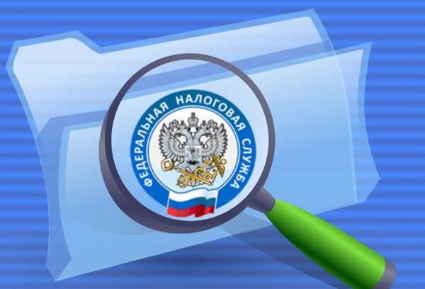 ФНС считает нецелесообразным вносить такие поправки в Кодекс.